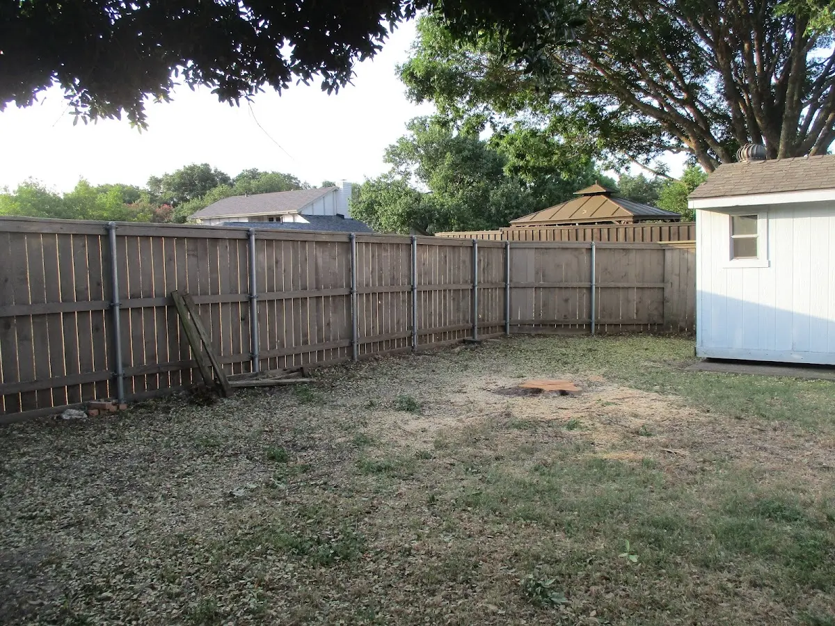 Cleared yard after professional tree removal in Erieville