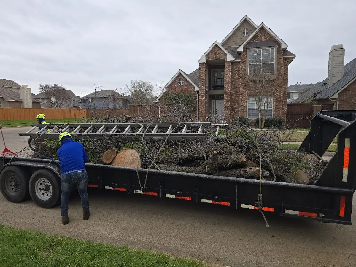 Expert Lot Clearing with proper safety equipment in Erieville